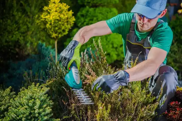 landscaping services Port Sanilac